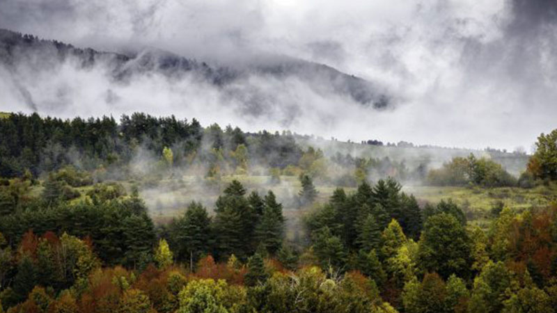 mirador zamariain otoño