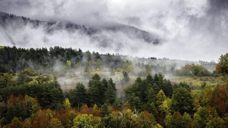 mirador zamariain otoño mirador zamariain otoño