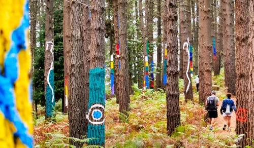 bosque oma bosque oma