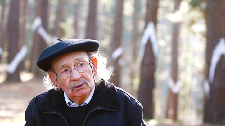 bosque oma ibarrola bosque oma ibarrola