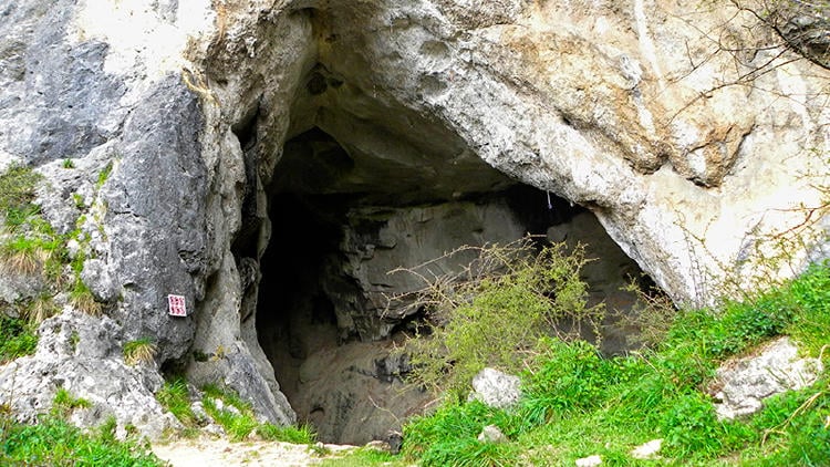 cuevas baltzola portalon cuevas baltzola portalon