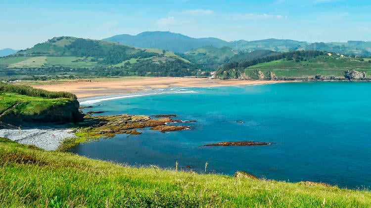 playas perros bizkaia arena playas perros bizkaia arena