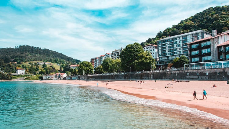 playas perros bizkaia isuntza playas perros bizkaia isuntza
