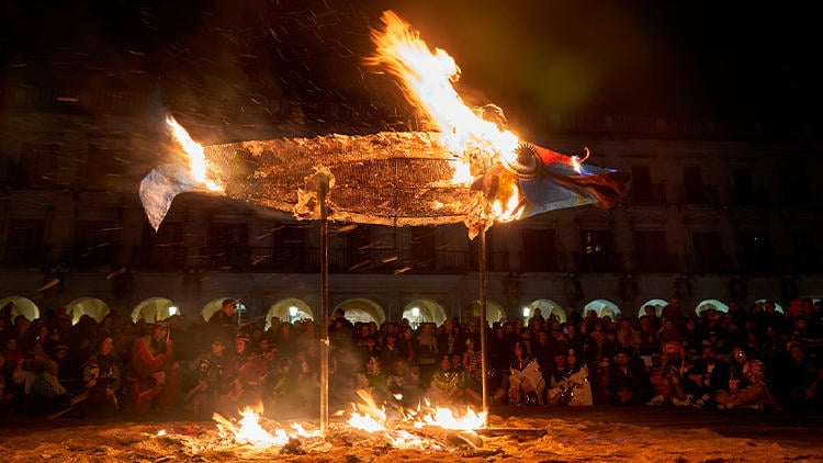 Carnaval Vitoria Gasteiz Quema sardina