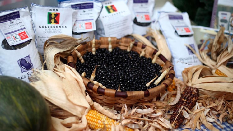 agenda euskadi noviembre fiesta alubia tolosa agenda euskadi noviembre fiesta alubia tolosa