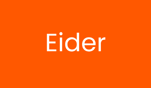 Eider Imagen con el nombre de Eider