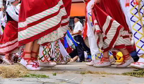 baztandarren biltzarra baztandarren biltzarra