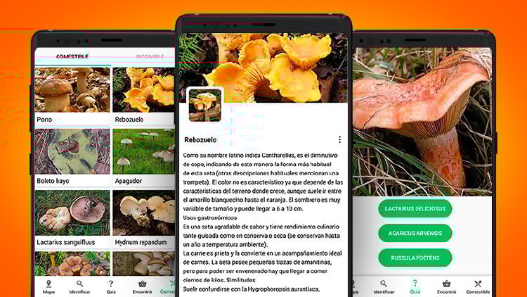 salir setas euskadi app identificador setas salir setas euskadi app identificador setas