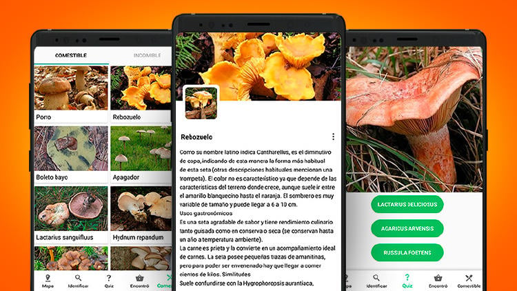 salir setas euskadi app identificador setas