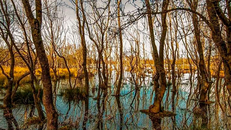 parque salburua gasteiz humedal