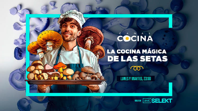destacados television euskaltel marzo cocina magica setas canal cocina