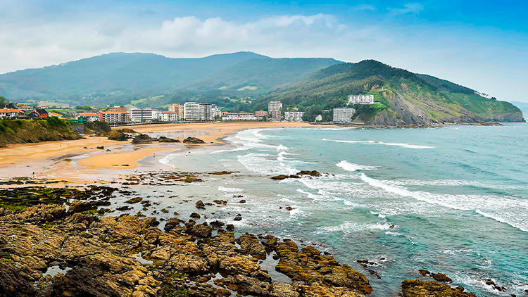 playas perros bizkaia bakio playas perros bizkaia bakio