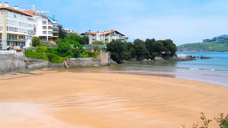 playas perros bizkaia laidatxu playas perros bizkaia laidatxu