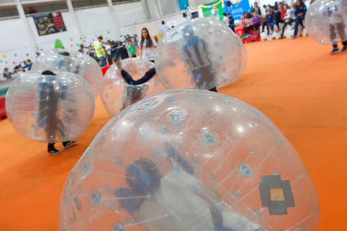 FICOBA 734x489 FICOBA 734x489