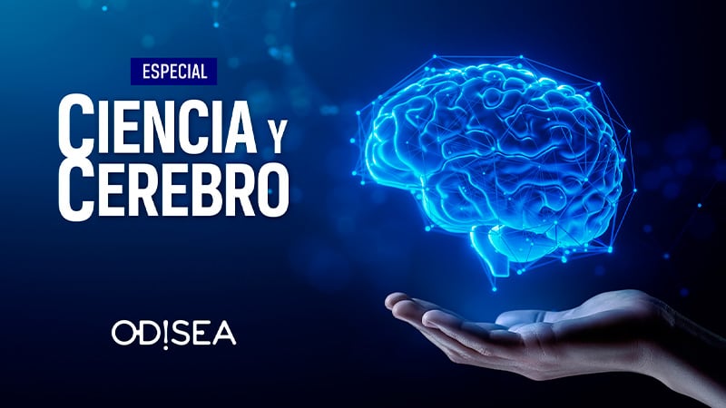 estrenos television marzo 2025 euskaltel ciencia cerebro odisea