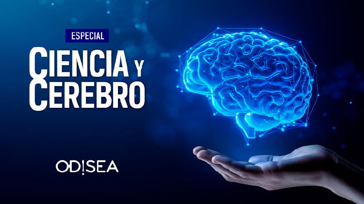 estrenos television marzo 2025 euskaltel ciencia cerebro odisea estrenos television marzo 2025 euskaltel ciencia cerebro odisea