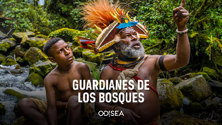 destacados television euskaltel marzo guardianes bosques odisea