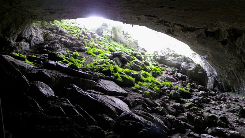 cuevas baltzola interior