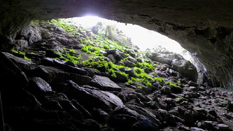 cuevas baltzola interior cuevas baltzola interior