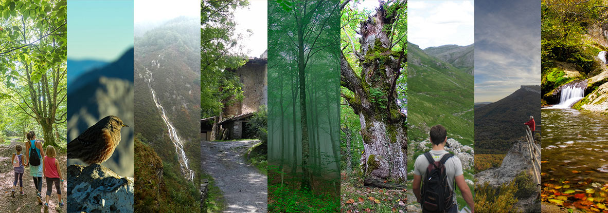 Parques Naturales de Euskadi: cuáles son y qué puedes hacer
